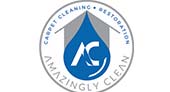 Amazingly Clean logo