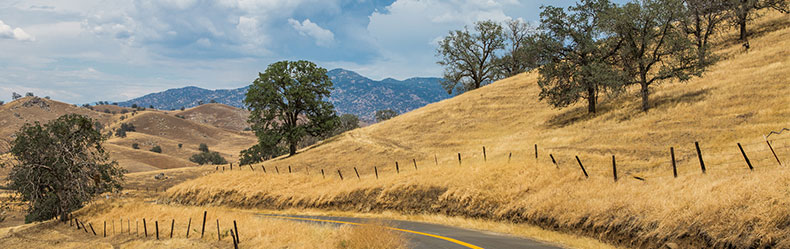 bakersfield skyline