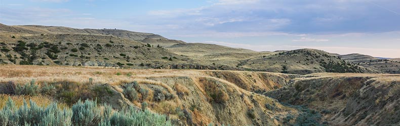 billings skyline