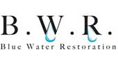 Blue Water Restoration logo