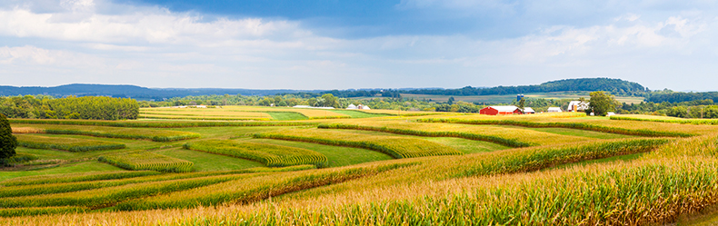 iowa skyline