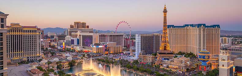 las vegas skyline