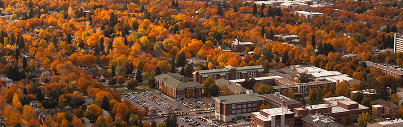 Missoula skyline