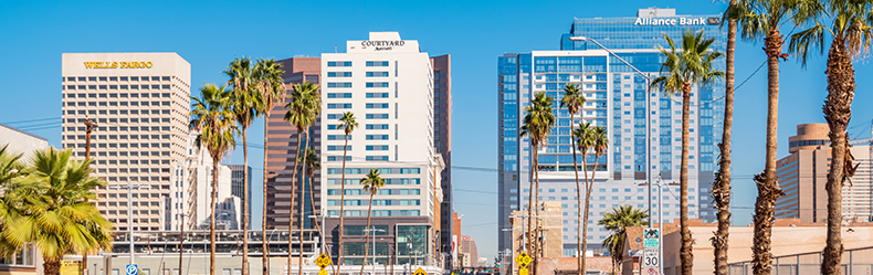 Phoenix skyline