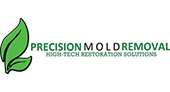 Precision Mold Removal