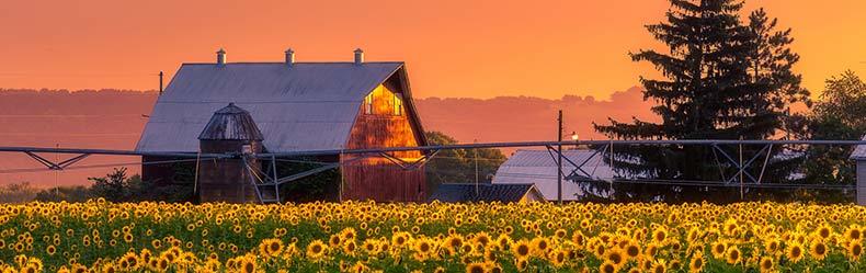 wisconsin skyline