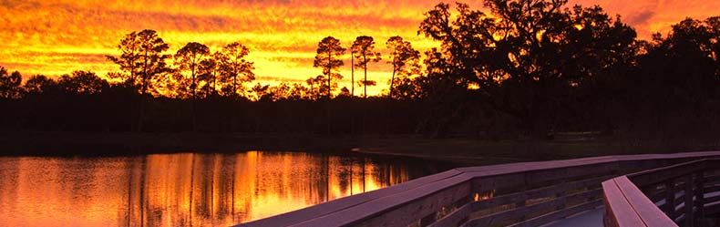 Tallahassee skyline